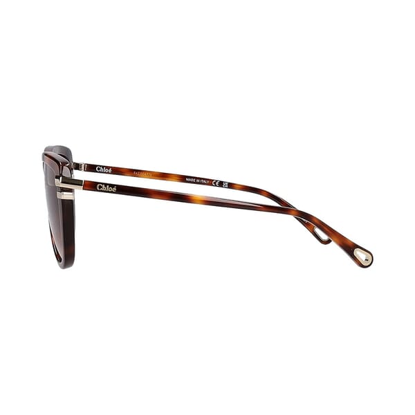 Sunglasses CH0203S Havana Red