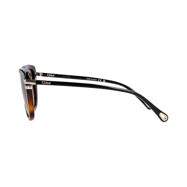 Sunglasses CH0203S Black Brown