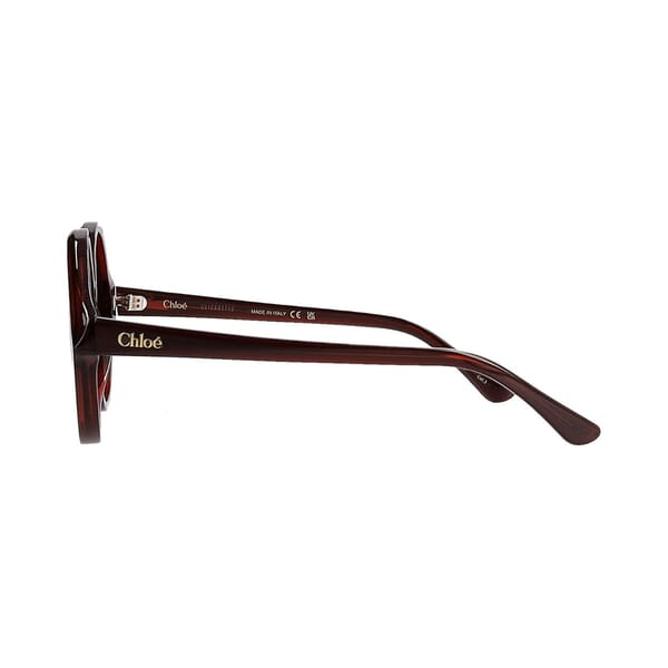 Sunglasses CH0290S Brown