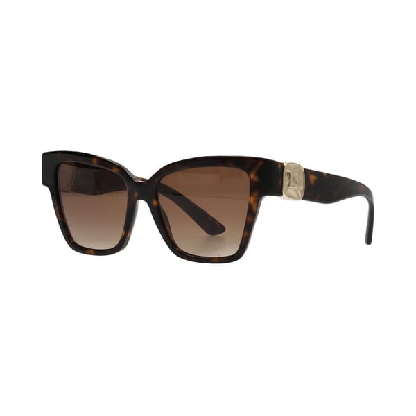 Sunglasses DG4470 Tortoise
