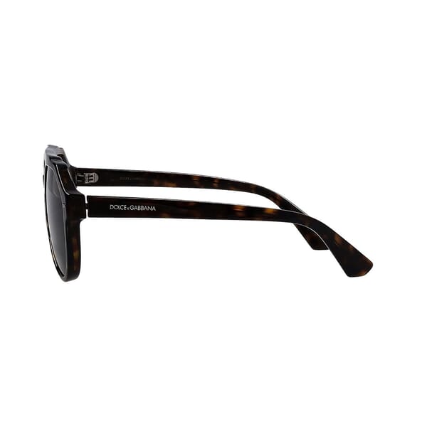 Sunglasses DG4452-F Tortoise/Green