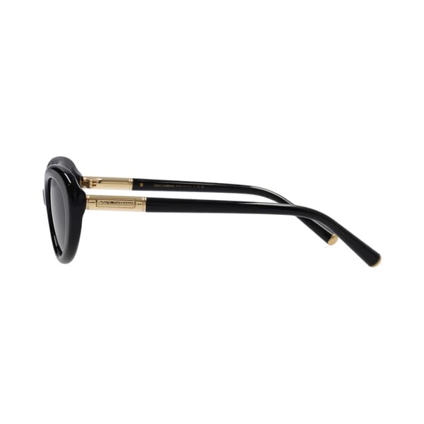 Sunglasses DG4519 Black