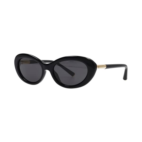 Sunglasses DG4519 Black