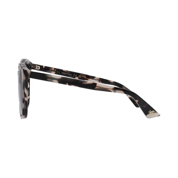 Sunglasses GG0024S Havana Grey