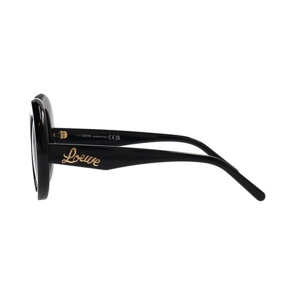 Sunglasses LW40089I Black