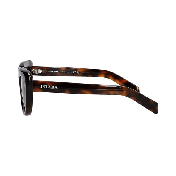 Sunglasses SPR-D07 Tortoise/Brown