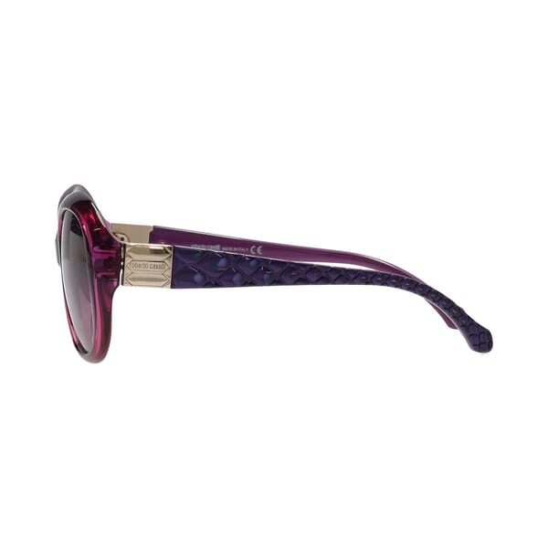 Achernar Sunglasses 786S Purple