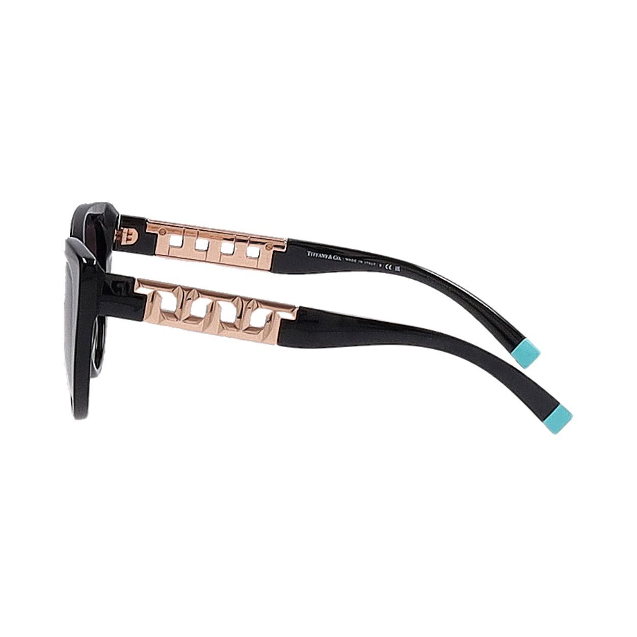 TIFFANY & CO. . Sunglasses TF 4196 Black | Luxity