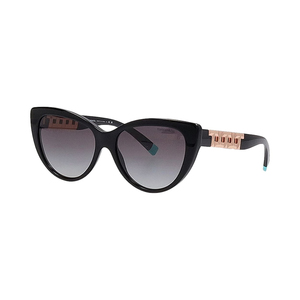 TIFFANY & CO. . Sunglasses TF 4196 Black | Luxity