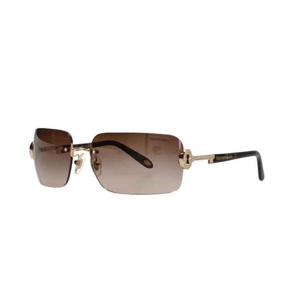 Co. Key Sunglasses TF3024-B Tortoise/Gold Tone