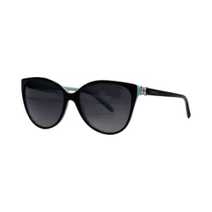 Sunglasses TF4089-B Black