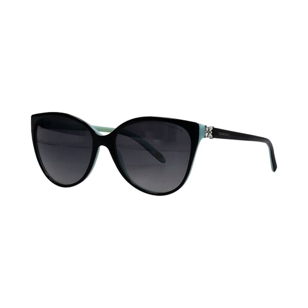 Sunglasses TF4089-B Black