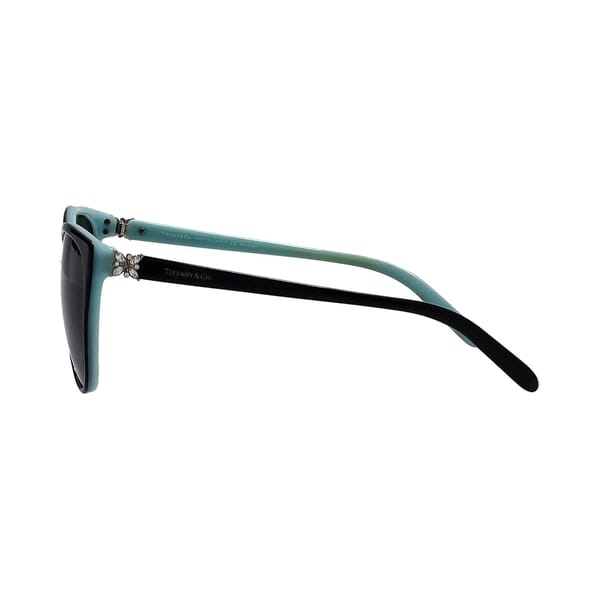 Sunglasses TF4089-B Black