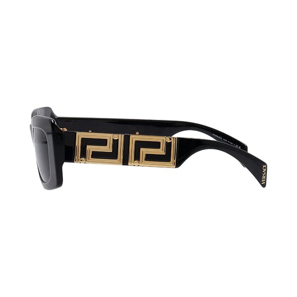 Sunglasses MOD.4444-U Black/Gold